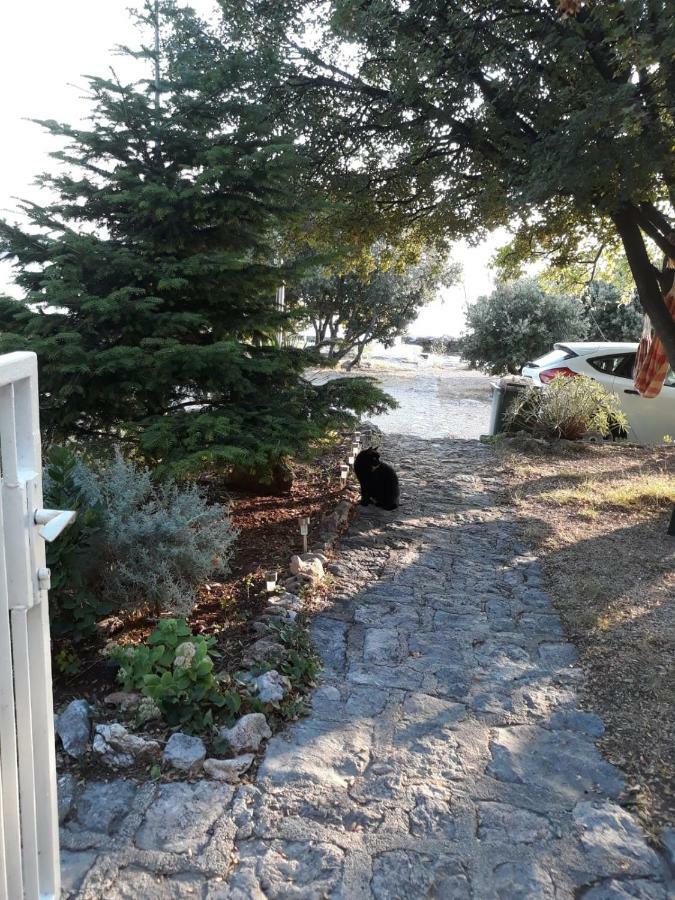 20Mtothesea Apartman Ribarica Kültér fotó