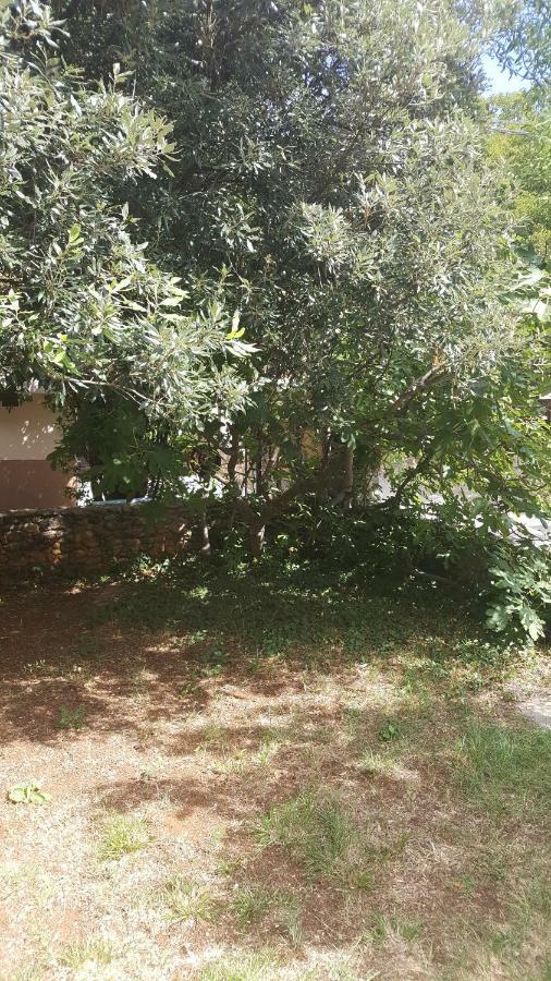 20Mtothesea Apartman Ribarica Kültér fotó