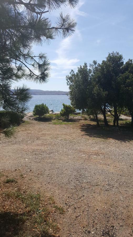 20Mtothesea Apartman Ribarica Kültér fotó